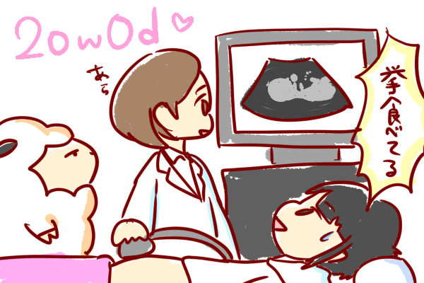 妊娠中 車の振動 揺れ が赤ちゃんに悪影響って本当 ショコハジロはもっと自由に生きたい