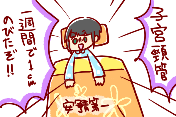 切迫早産 26w0d 子宮頸管が一週間で１ｃｍ以上伸びた話 ショコハジロはもっと自由に生きたい
